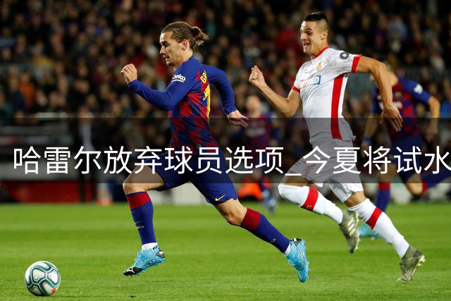 哈雷尔放弃球员选项 今夏将试水自由市场